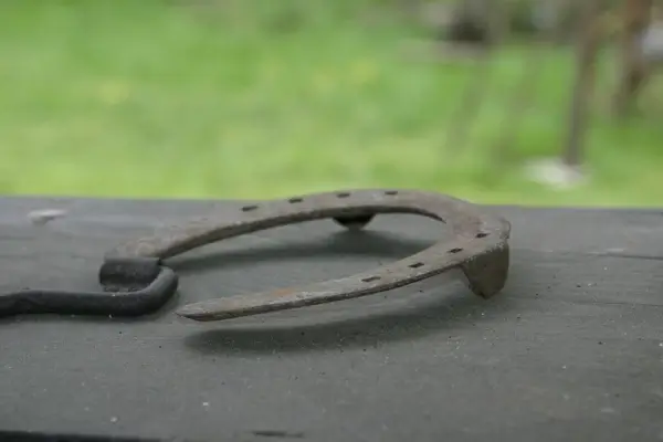 luck horseshoe lucky charm