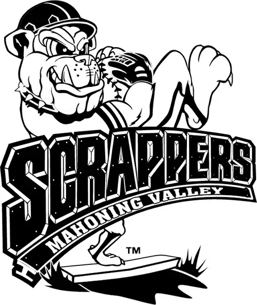 mahoning valley scrappers