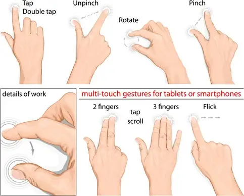 man hand gestures vector design
