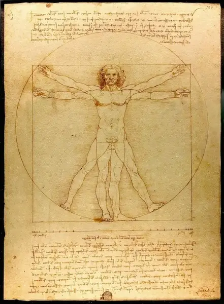 man leonardo da vinci the vitruvian man