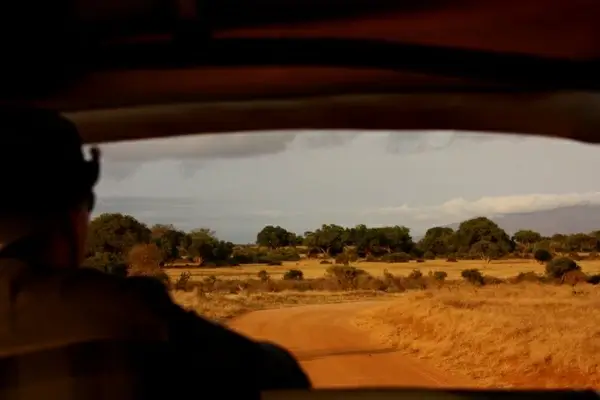 man on safari 2