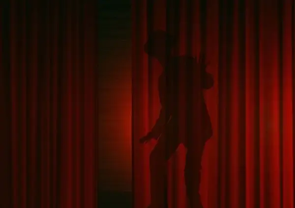 man silhouette curtain