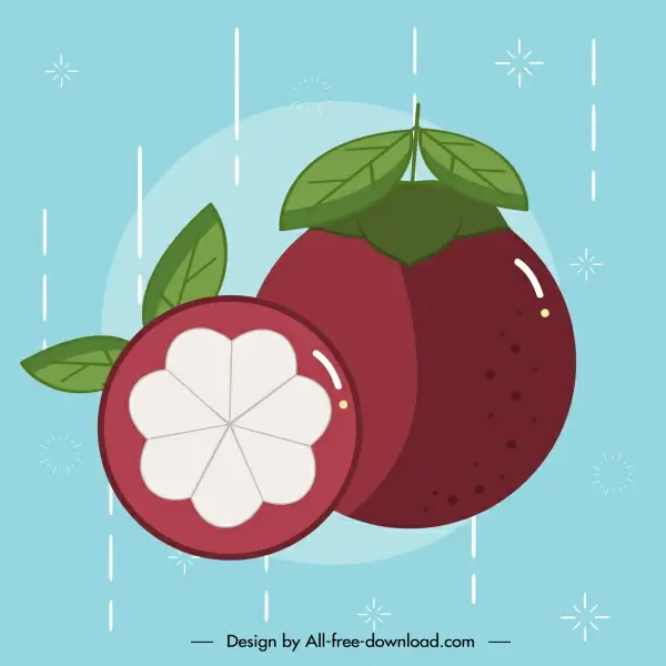 mangosteen icon colored classic flat sketch