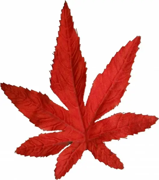maple textile object