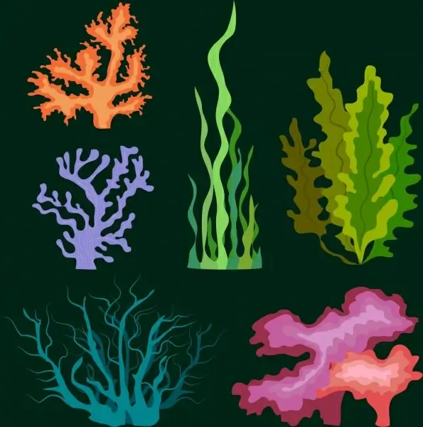 marine plant icons colorful flat ornament