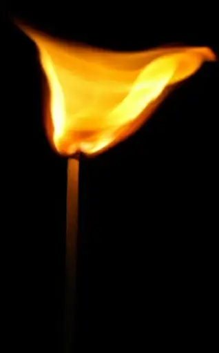 match matches sticks