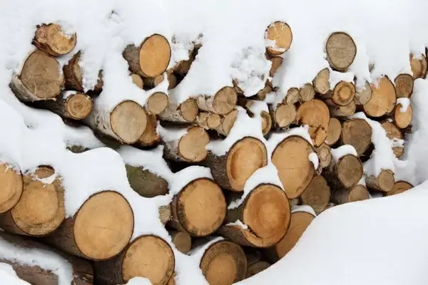 material cut log