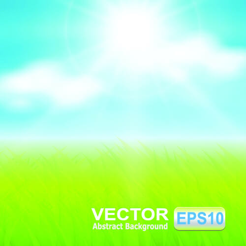 meadow with blue sky blurred background vector