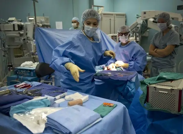 medicine medical surgery