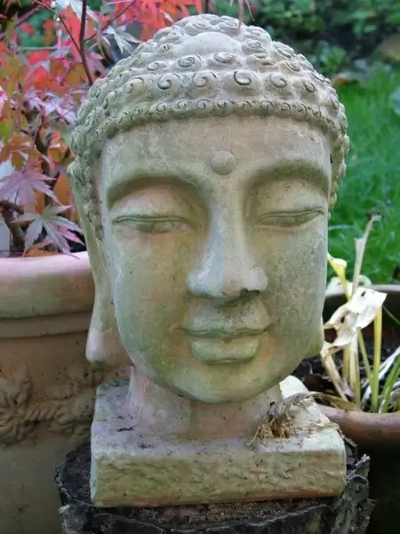 meditation