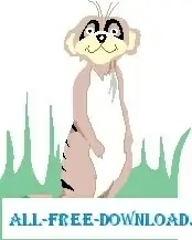 Meerkat