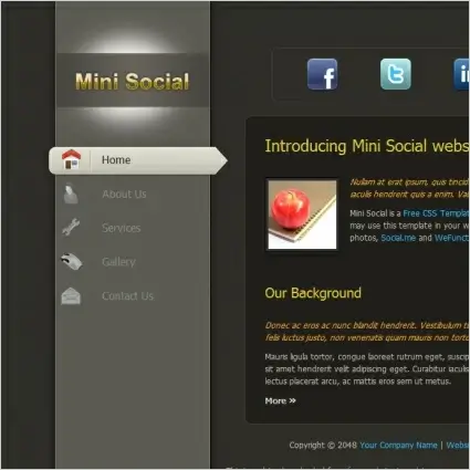  mini social