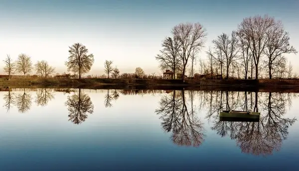 mirror i 