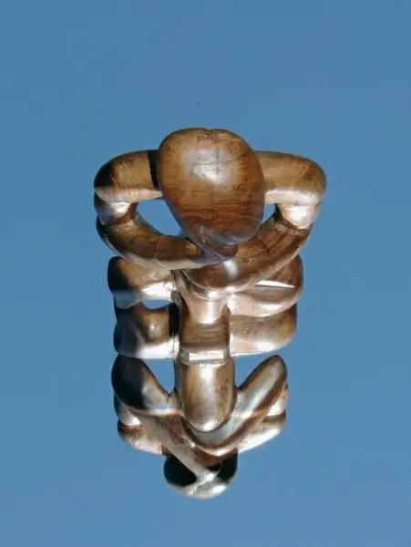 mirroring wood fig