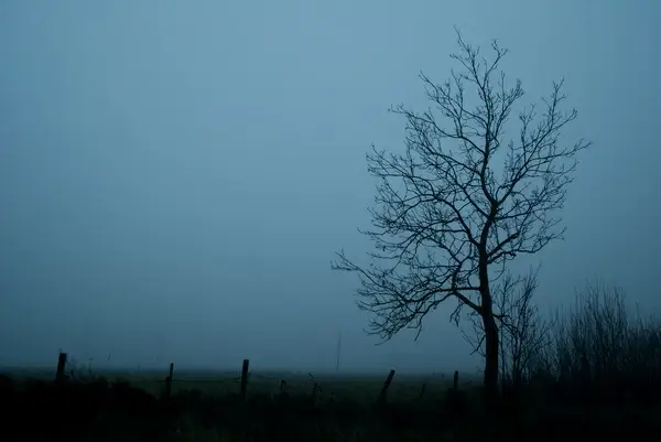 mist