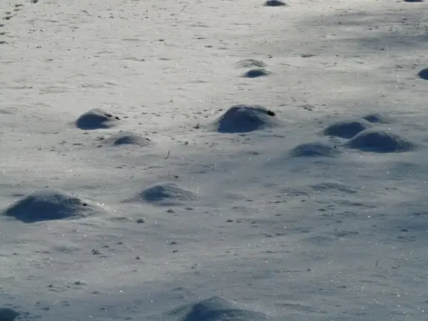 molehill wintry cold