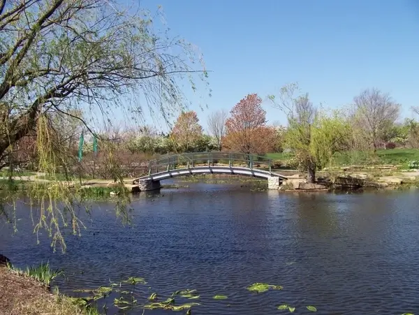 monet bridge in park