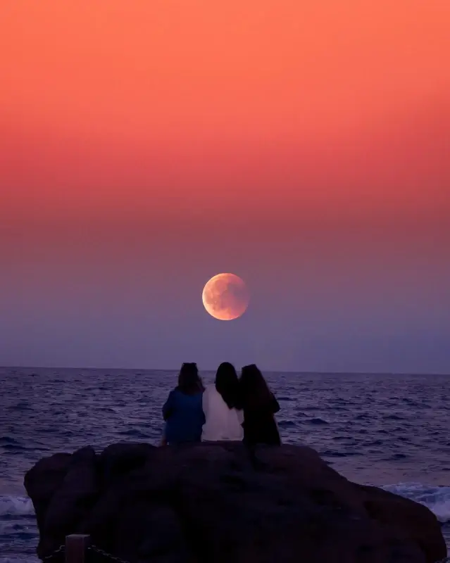 moonlight scenery picture friend gathering sea scene 