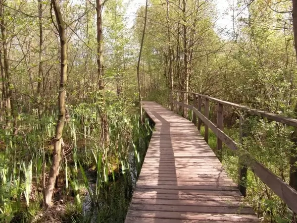 moor bridge web