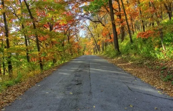 more autumn roadways at perrot state park wisconsin