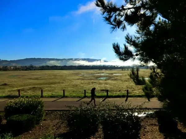 morning jog 6064
