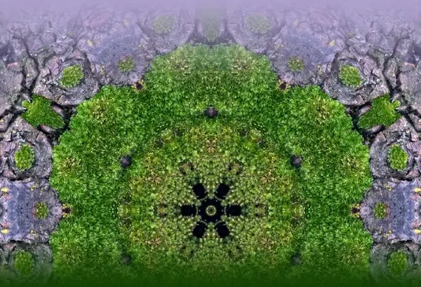 moss background