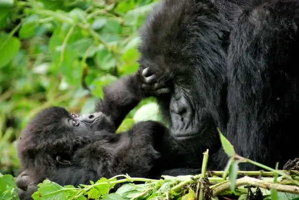 mother and baby