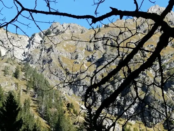 mountains alpine allg