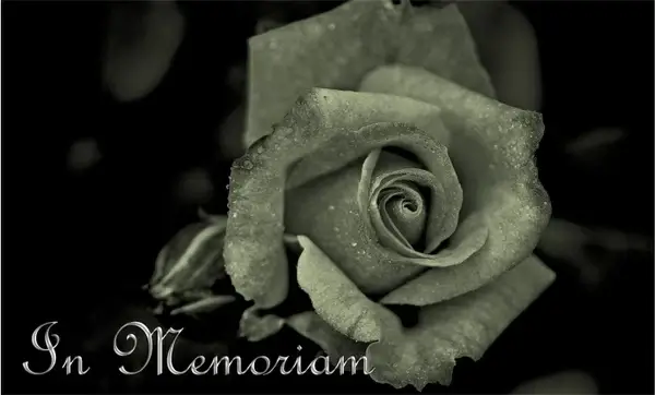 mourning death die