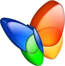 MSN exporer