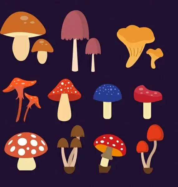 mushroom icons collection various multicolored types