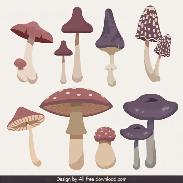 mushroom icons colored classic sketch