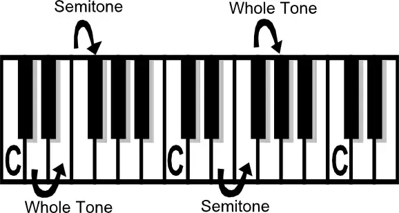 Music Theory Tone Semi-tone clip art