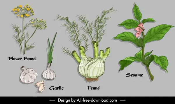 natural herb ingredients icons colored handdrawn design