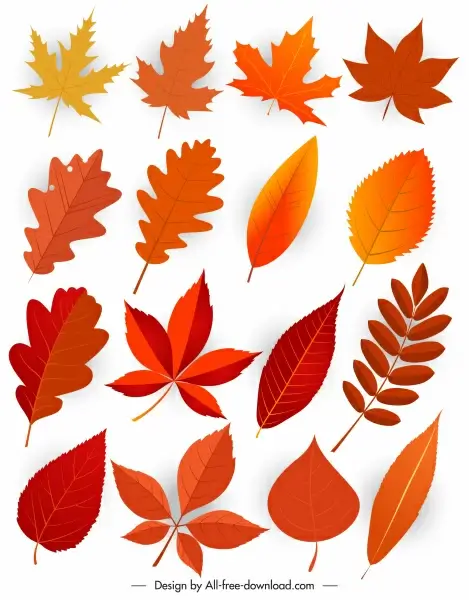 natural leaf icons modern design