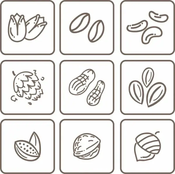 natural nut icons collection flat monochrome sketch