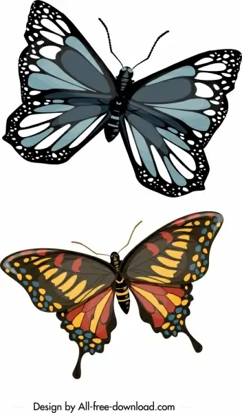 nature butterfly icons dark colorful modern design