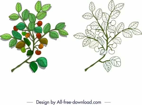 nature design element leaf fruit branch sketch