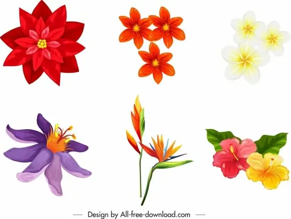 nature design elements colorful flora icons