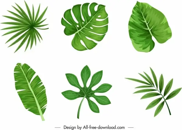 nature design elements flat green leaf shapes sketch