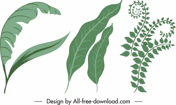 nature design elements green leaf sketch