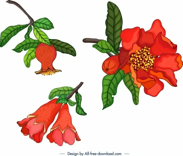 nature design elements pomegranate theme fruit flowers icons