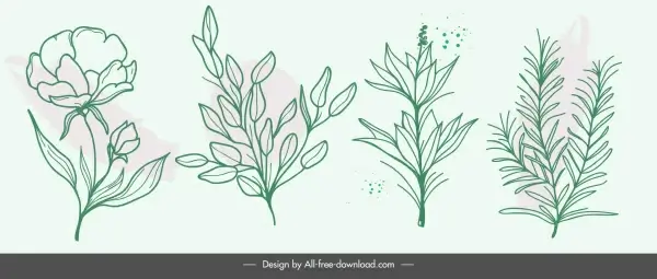nature elements icons handdrawn botany leaves sketch