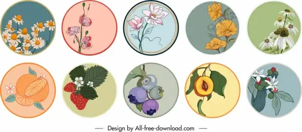 nature elements labels templates elegant classical flowers fruits