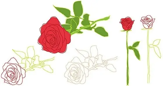 Nature rose flower leaf outline 