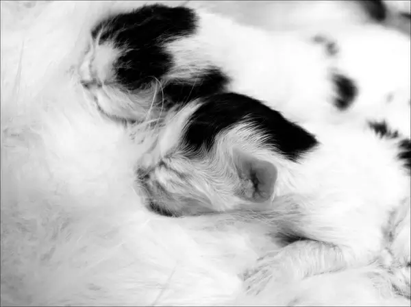 new life 
