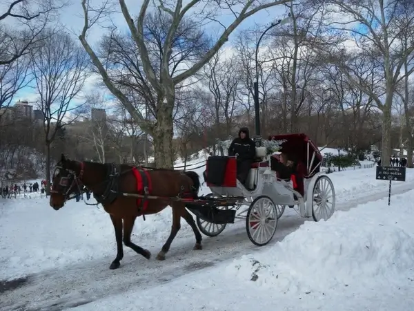 new york city horse carriage