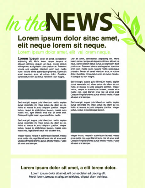 news page layout design vector