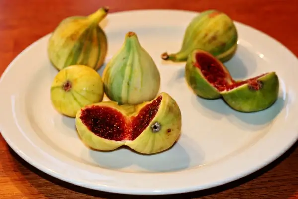 no greater thing is created suddenly any more than a bunch of grapes or a fig if you tell me that you desire a fig i answer you that there must be time let it first blossom then bear fruit then ripen epictetus