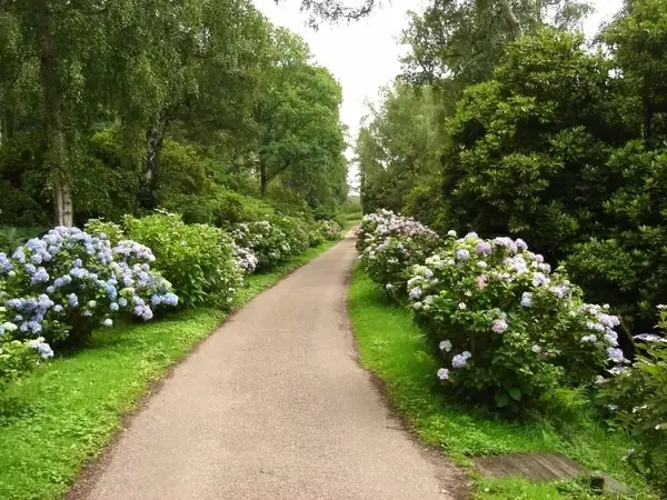 norfolk england great britian